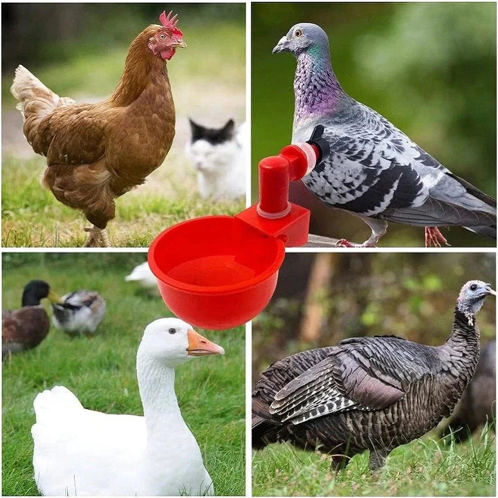 HYDROAVI® BEBEDERO AUTOMATICO PARA GALLINAS, POLLOS Y AVES DE CORRAL